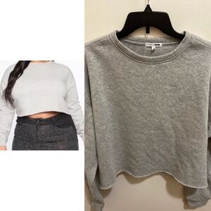 Fashion nova grey cropped long sleeve